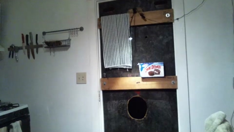 bolookout1  26-01-2023